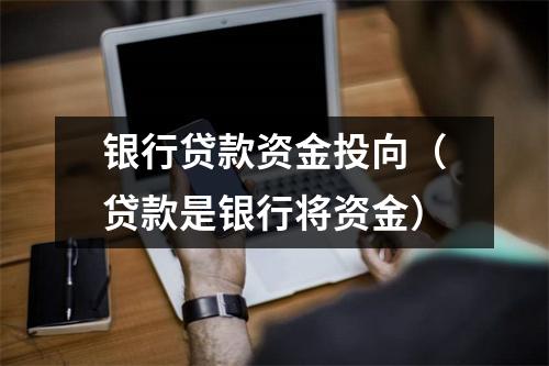 银行贷款资金投向（贷款是银行将资金）
