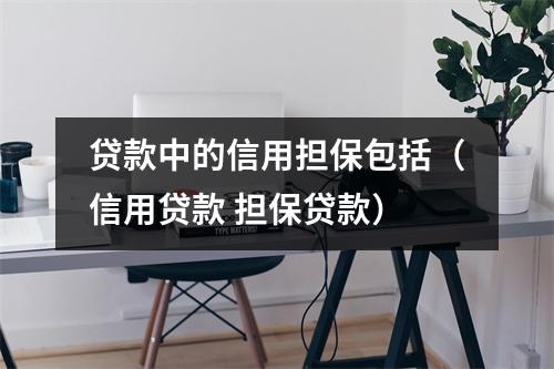 贷款中的信用担保包括（信用贷款 担保贷款）