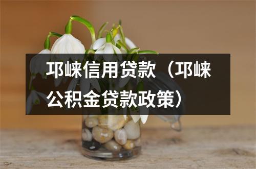 邛崃信用贷款（邛崃公积金贷款政策）