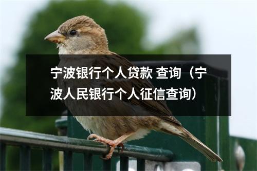 宁波银行个人贷款 查询（宁波人民银行个人征信查询）