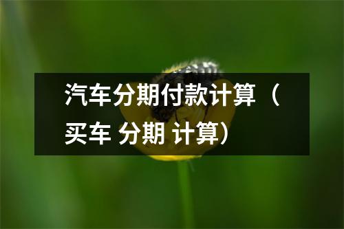 汽车分期付款计算(买车 分期 计算)