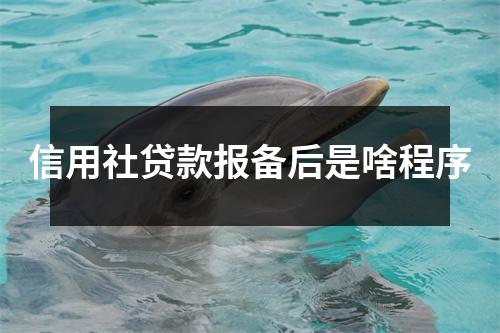 信用社贷款报备后是啥程序