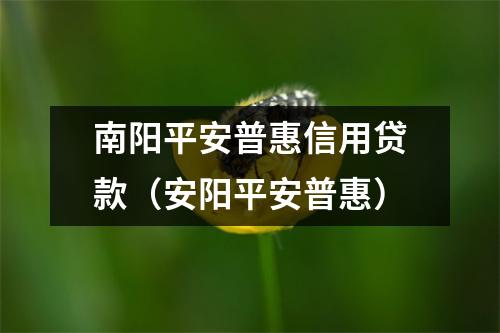 南阳平安普惠信用贷款（安阳平安普惠）
