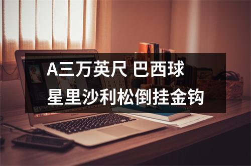 A三万英尺 巴西球星里沙利松倒挂金钩