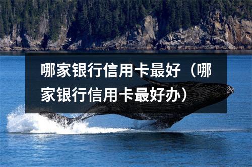 哪家银行信用卡最好（哪家银行信用卡最好办）