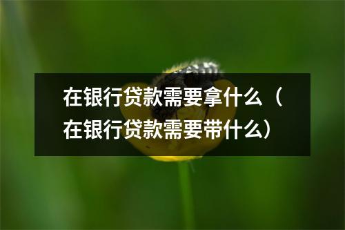 在银行贷款需要拿什么（在银行贷款需要带什么）
