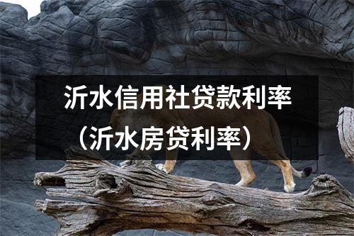 沂水信用社贷款利率（沂水房贷利率）