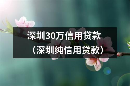深圳30万信用贷款（深圳纯信用贷款）