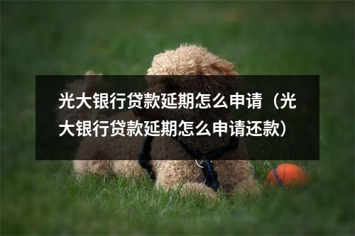 光大银行贷款延期怎么申请（光大银行贷款延期怎么申请还款）