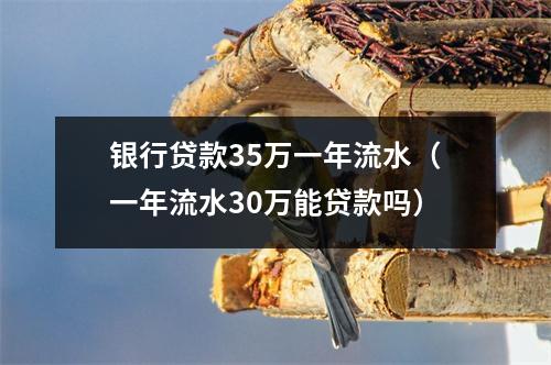 银行贷款35万一年流水（一年流水30万能贷款吗）