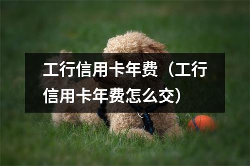 工行信用卡年费（工行信用卡年费怎么交）