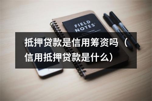 抵押贷款是信用筹资吗（信用抵押贷款是什么）