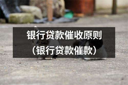 银行贷款催收原则（银行贷款催款）