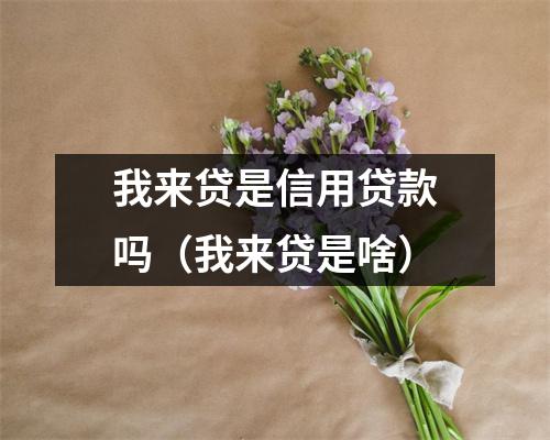 我来贷是信用贷款吗(我来贷是啥)