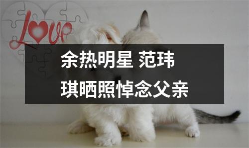 余热明星 范玮琪晒照悼念父亲