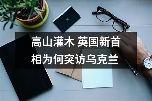 高山灌木 英国新首相为何突访乌克兰