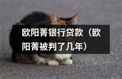 欧阳菁银行贷款（欧阳菁被判了几年）