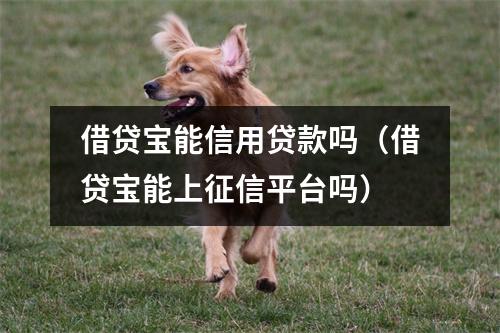 借贷宝能信用贷款吗（借贷宝能上征信平台吗）