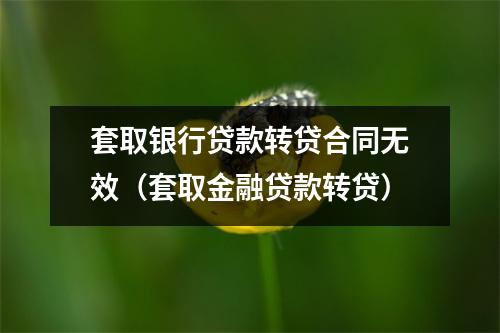 套取银行贷款转贷合同无效（套取金融贷款转贷）