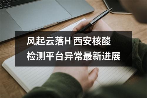 风起云落H 西安核酸检测平台异常最新进展