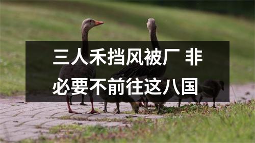 三人禾挡风被厂 非必要不前往这八国