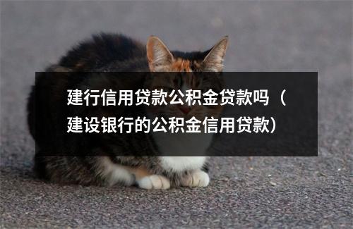 建行信用贷款公积金贷款吗（建设银行的公积金信用贷款）