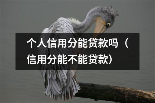 个人信用分能贷款吗(信用分能不能贷款)