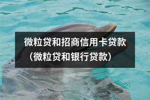 微粒贷和招商信用卡贷款（微粒贷和银行贷款）