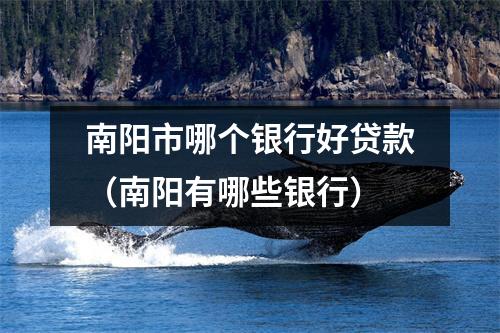 南阳市哪个银行好贷款（南阳有哪些银行）