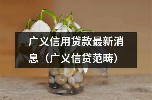 广义信用贷款最新消息（广义信贷范畴）