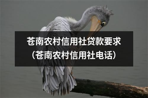 苍南农村信用社贷款要求(苍南农村信用社电话)