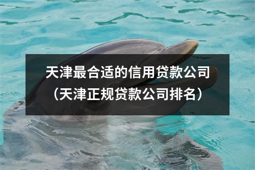 天津最合适的信用贷款公司（天津正规贷款公司排名）