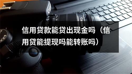 信用贷款能贷出现金吗（信用贷能提现吗能转账吗）