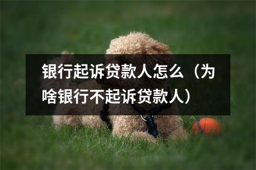 银行起诉贷款人怎么(为啥银行不起诉贷款人)