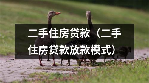 二手住房贷款（二手住房贷款放款模式）
