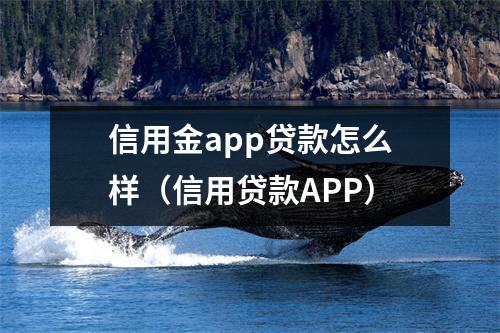 信用金app贷款怎么样（信用贷款APP）