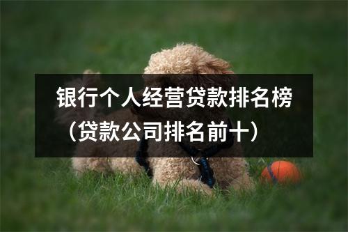 银行个人经营贷款排名榜（贷款公司排名前十）