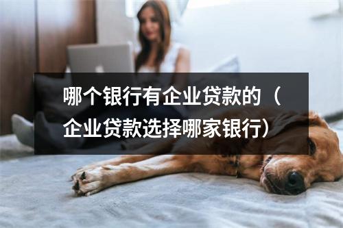 哪个银行有企业贷款的(企业贷款选择哪家银行)