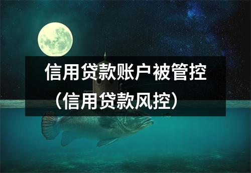 信用贷款账户被管控（信用贷款风控）