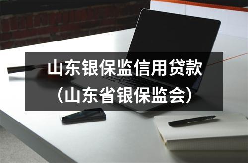 山东银保监信用贷款（山东省银保监会）