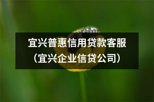 宜兴普惠信用贷款客服（宜兴企业信贷公司）