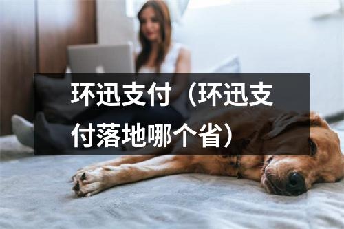 环迅支付（环迅支付落地哪个省）