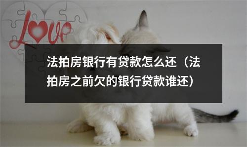 法拍房银行有贷款怎么还(法拍房之前欠的银行贷款谁还)