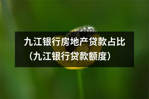 九江银行房地产贷款占比（九江银行贷款额度）