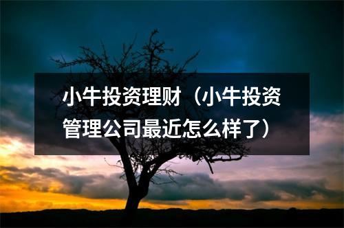小牛投资理财（小牛投资管理公司最近怎么样了）
