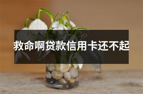 救命啊贷款信用卡还不起
