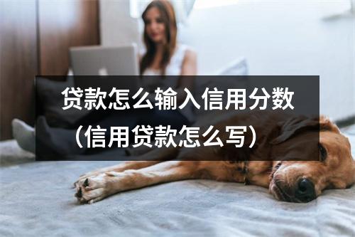 贷款怎么输入信用分数(信用贷款怎么写)