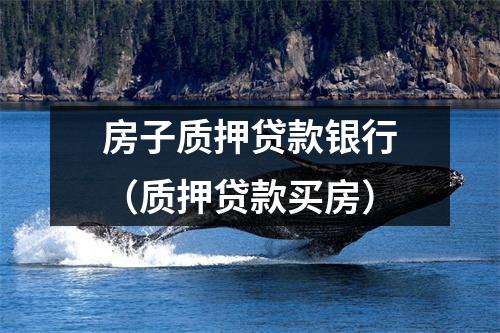 房子质押贷款银行（质押贷款买房）
