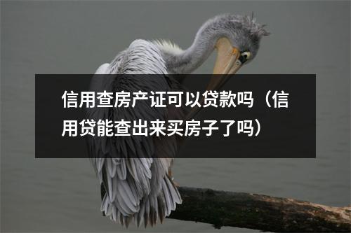 信用查房产证可以贷款吗（信用贷能查出来买房子了吗）