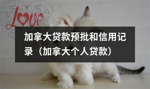 加拿大贷款预批和信用记录（加拿大个人贷款）